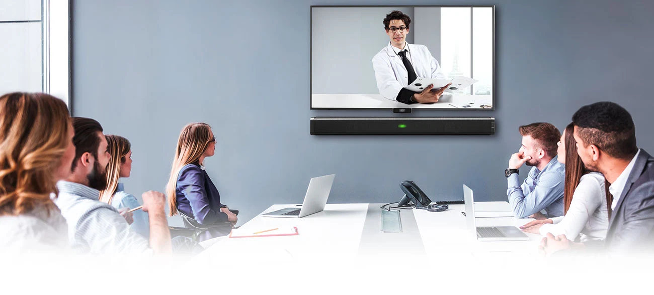 Natural Conversation in Web Conferences.